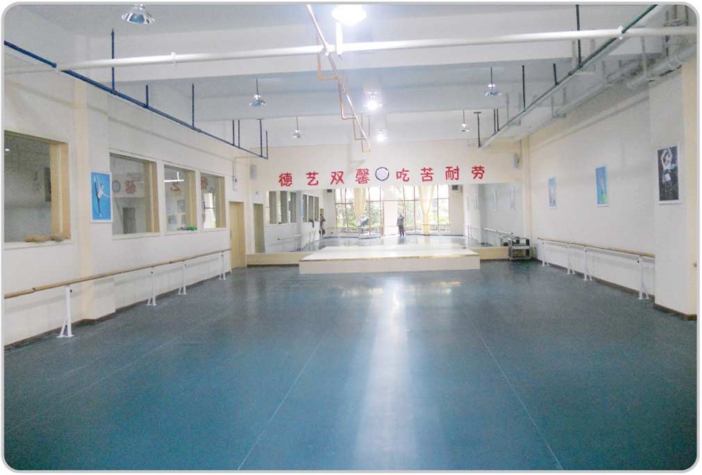 玉林市玉州區歌舞劇團|舞蹈地膠